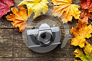 Vintage photo camera and dry leaves on wooden background.