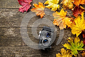 Vintage photo camera and dry leaves on wooden background.