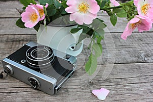 Vintage photo camera and flowers. Pink rose hips in a white enamel cup on a rustic wooden table. Summer still life