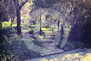 Vintage photo of central park in Athens, Greece