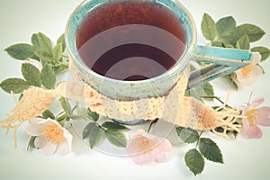 Vintage photo, Cup of tea with wild rose flower on white background