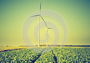 Vintage photo of field with windmills