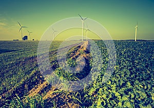 Vintage photo of field with windmills