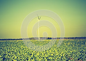 Vintage photo of field with windmills