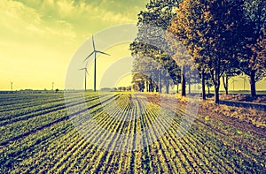 Vintage photo of field with windmills