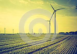 Vintage photo of field with windmills