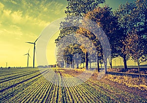 Vintage photo of field with windmills