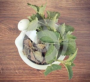 Vintage photo, Fresh green and dried lemon balm in mortar, herbalism, alternative medicine
