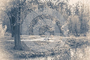 Vintage photo park