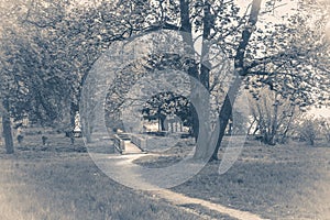 Vintage photo park