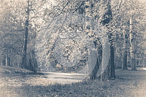 Vintage photo park