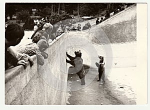 Vintage photo shows people visit ZOO. Two bears stand in bear moat.