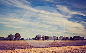 Vintage photo of stubble field