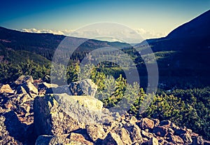 Vintage photo of Tatra mountains landscape