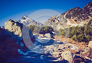 Vintage photo of Tatra mountains landscape