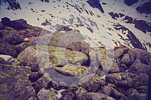 Vintage photo of Tatra mountains landscape