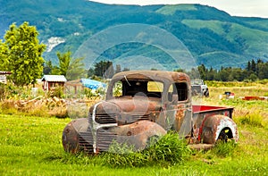 Vintage Pickup in a Meadow in USA