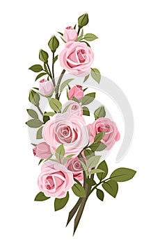 Vintage pink roses branch.