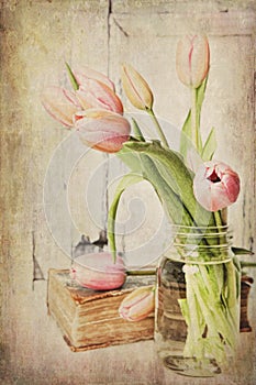 Vintage Pink Tulips