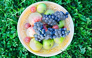 Vintage plate with fruit on the green grass. Rustic summer flat lay. Healthy vegetarian food lifestyle concept. Picnic ideas