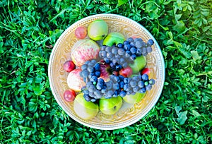 Vintage plate with fruit on the green grass. Rustic summer fruit flat lay. Healthy vegetarian food lifestyle concept. Summer vibes