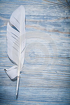 Vintage plume on wooden board vertical view