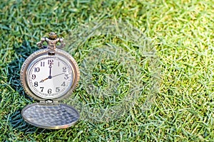 Vintage pocket gold watch with green grass, abstract for time concept with copy space