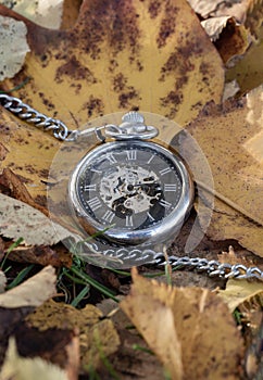 Vintage pocket watch lies on dry yellow leaf background in autumn fall