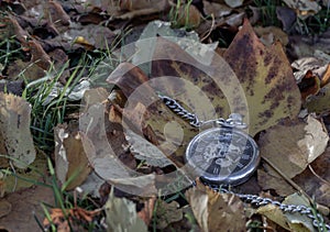 Vintage pocket watch lies on dry yellow leaf and green grass background