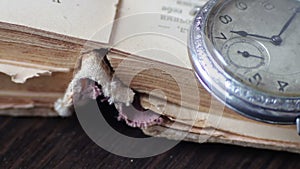 Vintage pocket watch next to the old faded book,