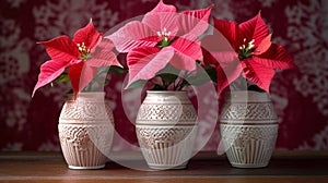 Vintage Poinsettia Trio on Lace Doily with Fireplace Background