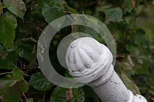 Vintage Pole in Green Foliage