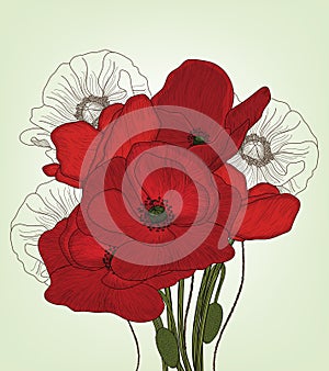 Vintage poppies composition