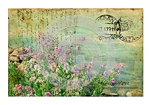 Vintage Postcard with Flowers photo