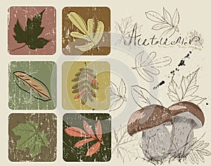 Vintage poster with autumn plants