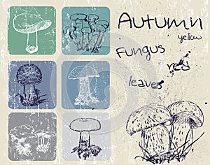 Vintage poster with autumn plants and fungus.
