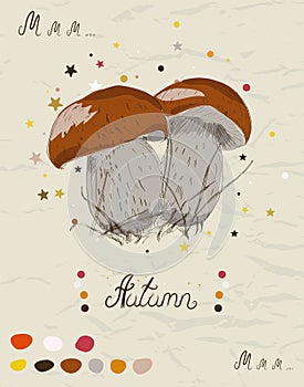 Vintage poster with mushroom from my autumn collection of posters and seamless textures. Vector illustration