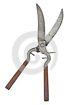 Vintage poultry shears