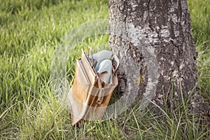 Vintage pumps shoes in bag wayside in nature arouse wanderlust