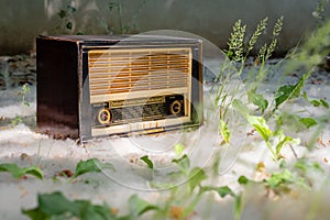 A vintage radio surrounded by pollen and green leaves in the countryside