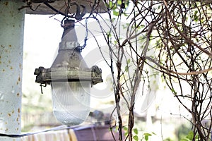 Vintage rarity lantern with big lamp