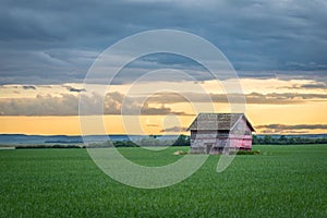 Vintage red barn in a wheat field at sunset in Saskatchewan, Canada