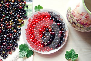 red and black currants. The concept of Yin and Yan photo
