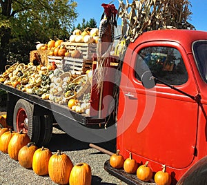 Vintage Red Farm Truck with Fall Harvest Gourds