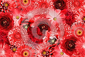 Vintage red flowers collage