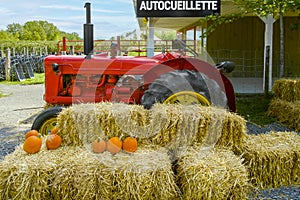 Vintage red tractor with bale of hay and pumpkin at the historical Marineau farm in Laval