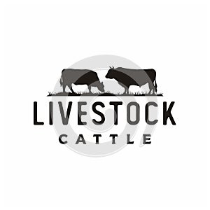 Vintage Retro Angus Cattle or Livestock logo design