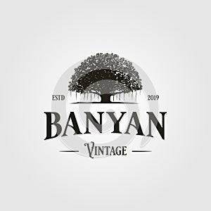 Vintage retro banyan tree logo vector icon illustration photo