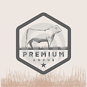 Vintage Retro Cow Angus Cattle Livestock Farm Meat Store Logo Design