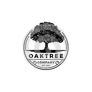 Vintage Retro Emblem Oak, Banyan, Maple Tree Service Logo Design photo